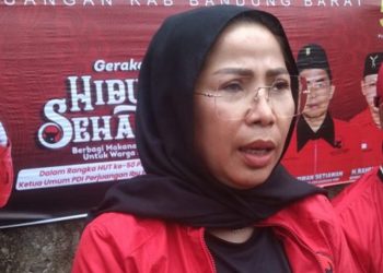 Ketua DPC PDI Perjuangan KBB, Ida Widaningsih. (Dok PDI Perjuangan)