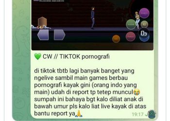 Tangkapan layar netizen minta Livestream game berbau pornografi di TikTok dihapus. (dok. Panduga)