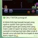 Tangkapan layar netizen minta Livestream game berbau pornografi di TikTok dihapus. (dok. Panduga)
