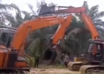 Tangkapan layar ekskavator beradu lengan. (dok. Panduga)