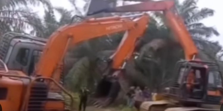 Tangkapan layar ekskavator beradu lengan. (dok. Panduga)