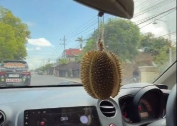 Tangkapan layar durian menjadi pengharum mobil. (dok. Tiktok @eatpartner_)