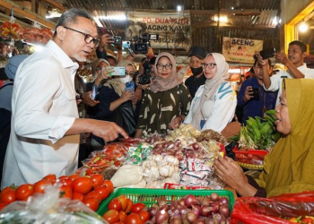 Menteri Perdagangan Zulkifli Hasan (dok. Instagram @zul.hasan)