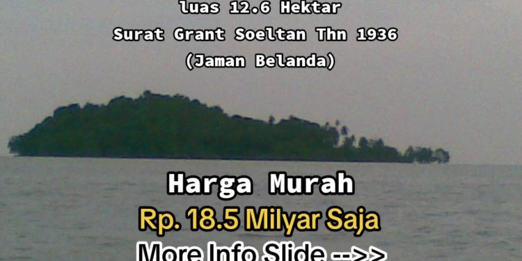 Bikin Geger Netizen, Pulau Dekat Batam Ini Dijual Seharga Rp 18,5 Miliar