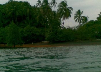 Pulau Lontong yang berada di dekat Batam dijual oleh seorang pemilik akun Tiktok dengan harga Rp 18,5 miliar (dok. Tiktok @yamettkudasii95)