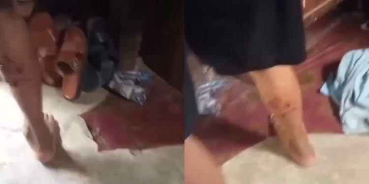 Seorang warga Makassar diterkam seekor buaya saat sedang mencari sayur pappa di Sunga Pampang, Kamis (14/12/2023) (dok. Instagram @info_makassar)