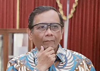 Mahfud MD (dok. Istimewa)