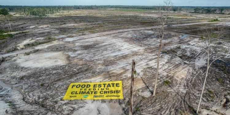 Lahan food estate di Gunung Mas, Kalimantan Tengah. Untuk program food estate, Jokowi melalui Menteri Pertahanan Prabowo Subianto, membabat ratusan hektare hutan di Gunung Mas.