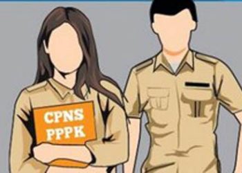 Ilustrasi CPNS dan PPPK (dok. Istimewa)