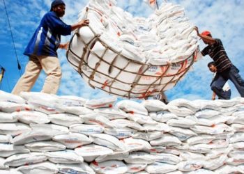 Ilustrasi impor beras (dok. istimewa)