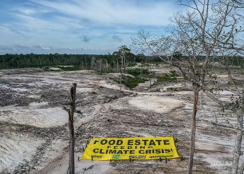 Walhi khawatir pemerintahan Prabowo-Gibran rusak lingkungan hidup. (dok. Greenpeace)