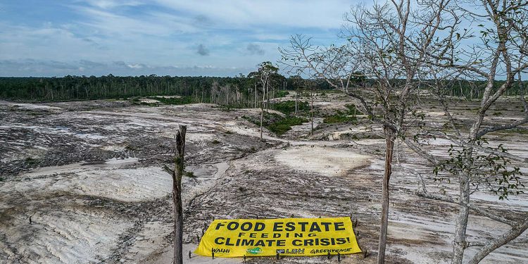 Walhi khawatir pemerintahan Prabowo-Gibran rusak lingkungan hidup. (dok. Greenpeace)