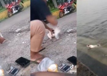 Tangkapan layar video viral seorang pria tega siksa seekor kucing. (dok. istimewa)