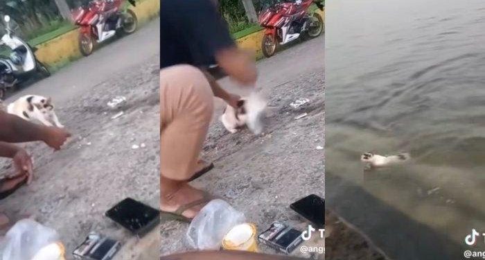 Tangkapan layar video viral seorang pria tega siksa seekor kucing. (dok. istimewa)