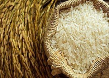 Ilustrasi Beras (dok. istimewa)