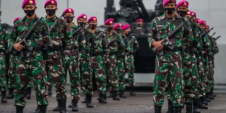 Anggota TNI (dok. istimewa)