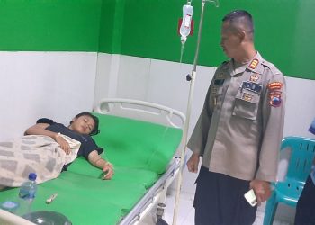 Kecarunan jamur liar. (ist)