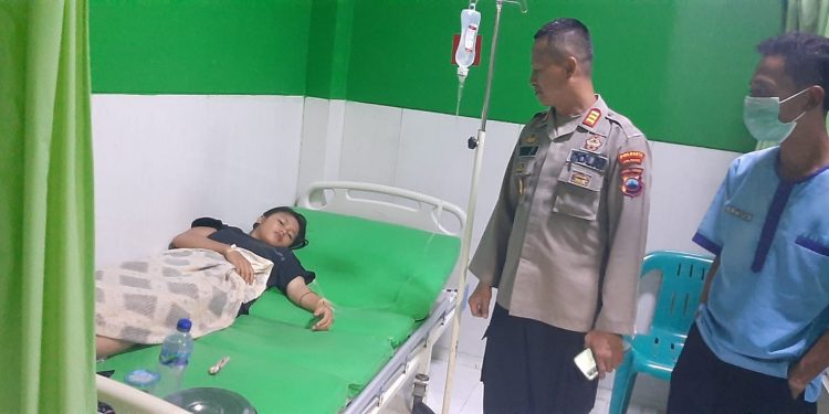 Kecarunan jamur liar. (ist)