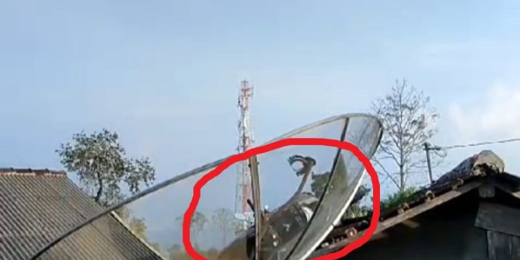 Viral motor nyangkut di atap rumah warga. (ist)