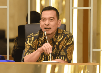 Ketua DPP PKB, Daniel Johan. (dok. istimewa)