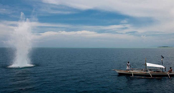 ILUSTRASI Bom Ikan (ist)