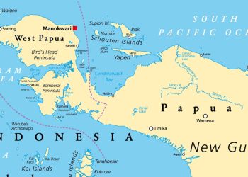 Peta Pulau Papua (dok. goodstat.id)