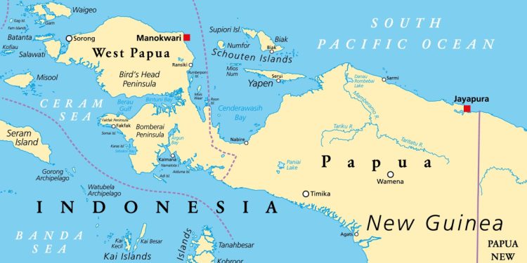 Peta Pulau Papua (dok. goodstat.id)