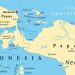 Peta Pulau Papua (dok. goodstat.id)