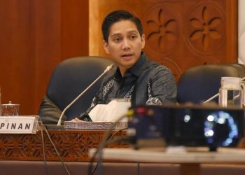Wakil Ketua Umum Partai Gerindra, Budisatrio Djiwandono. (dok. istimewa)