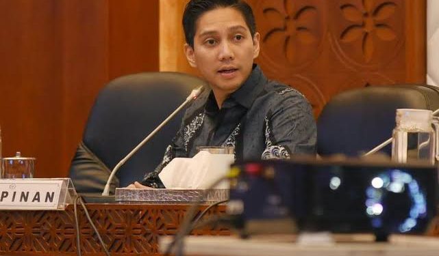 Wakil Ketua Umum Partai Gerindra, Budisatrio Djiwandono. (dok. istimewa)