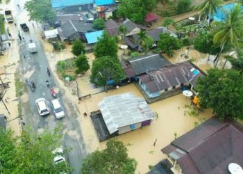 Banjir di Kecamatan Sepaku, Kabupaten Penajam Paser Utara, Kalimantan Timur. (dok. istimewa)