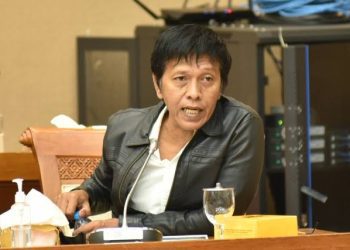 Politisi PDIP, Adian Napitupulu. (dok. istimewa)