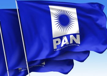 logo pan