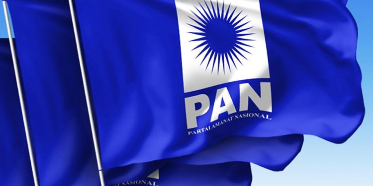 logo pan
