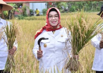 Calon Bupati Sukoharjo, Etik Suryani (dok. istimewa)