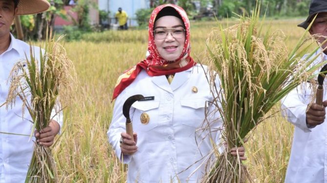 Calon Bupati Sukoharjo, Etik Suryani (dok. istimewa)