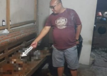 Wanita di Cilacap Ditemukan Tewas Membusuk di Dalam Rumahnya