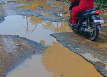 Di Tengah Janji Manis Para Calon Bupati, Jalan di Jepara Ini Sudah Bertahun-tahun Jadi Kubangan Sapi