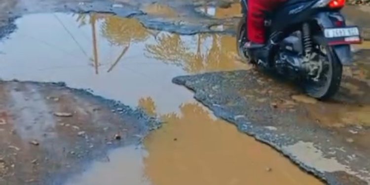 Di Tengah Janji Manis Para Calon Bupati, Jalan di Jepara Ini Sudah Bertahun-tahun Jadi Kubangan Sapi