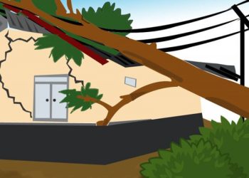 Dua Orang Terluka Saat Pohon Tumbang Timpa Rumah di Jepara