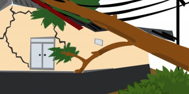 Dua Orang Terluka Saat Pohon Tumbang Timpa Rumah di Jepara