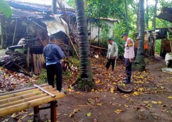 Pria di Purbalingga Terjatuh dari Pohon Kelapa Saat Menyadap Nira