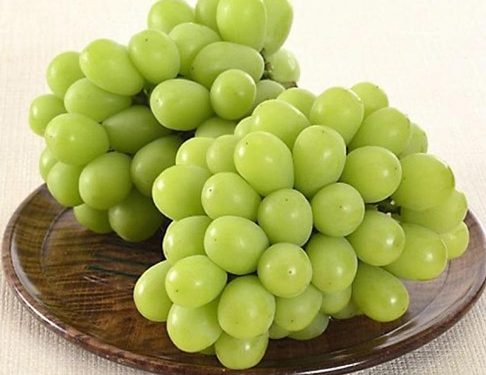 Viral Anggur Shine Muscat Mengandung Bahan Berbahaya, Ini Hasil Uji Labnya di Jateng