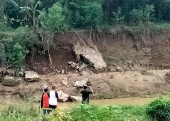 Talut Sungai Bodri Ambrol 40 Meter, Warga Desa Kebonharjo Kendal Terancam
