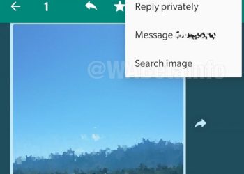 Canggih! WhatsApp Siapkan Fitur Deteksi Foto Hoax, Ini Cara Pakainya