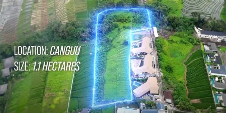 Viral! WNA Australia Punya Restoran dan Tanah di Bali 1,1 Hektar, Imigrasi Langsung Turun Tangan