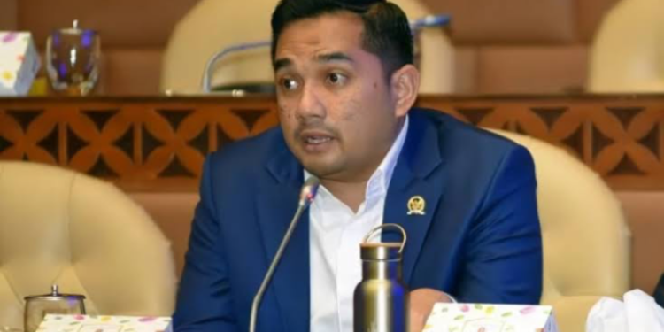 Ketua Komisi II DPR RI, Rifqinizamy Karsayuda (dok. istimewa)