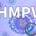 Ilustrasi Human Metapneumovirus (HMPV) (dok. istimewa)