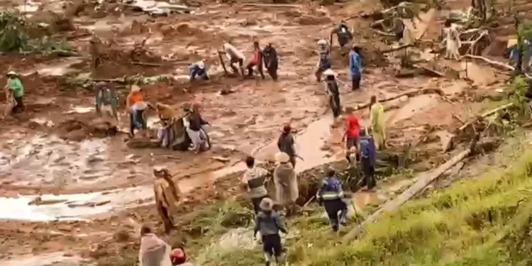 Bencana longsor Pekalongan telan 17 korban jiwa (dok. istimewa)