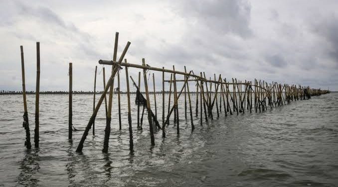 Pagar bambu sepanjang 30 km lebih di laut Kabupaten Tangerang disegel KKP (dok. istimewa)